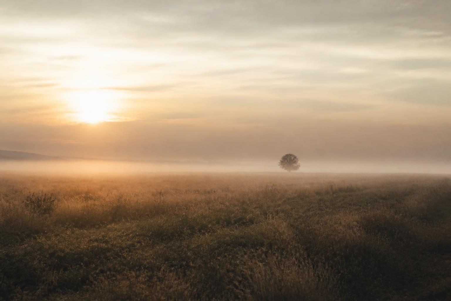 Landweg in de ochtendmist, een rustig pad richting helderheid