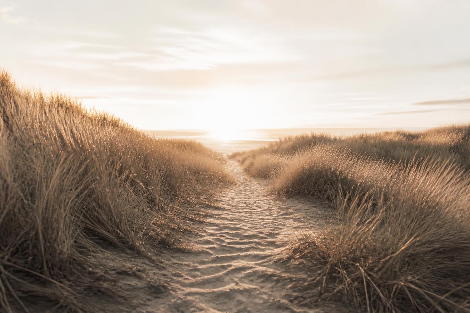 Zandpad tussen de duinen naar zee bij zonsondergang